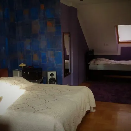 Luxury House Villa Breslau