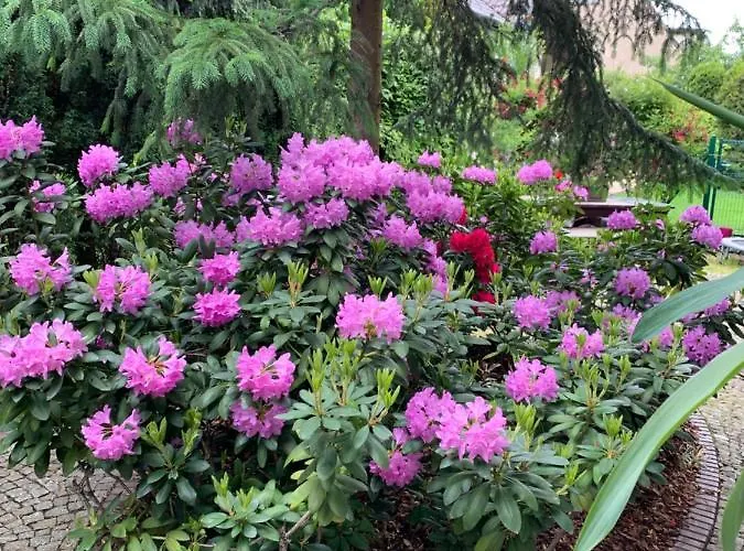 Luxury House * Wroclaw